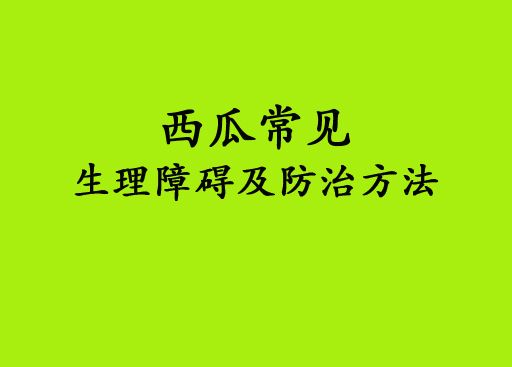 西瓜常見生理障礙及預防